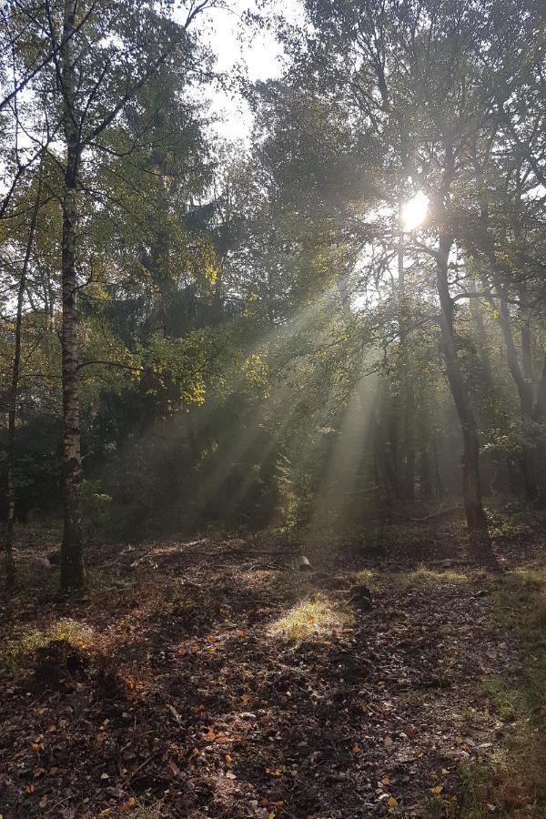 B&B De Loenense Bossen Dış mekan fotoğraf