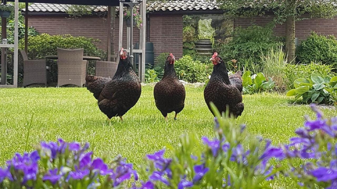 B&B De Loenense Bossen Dış mekan fotoğraf